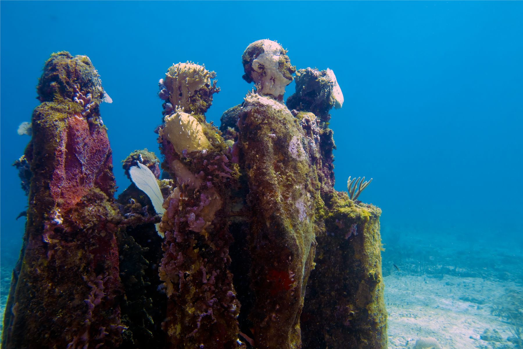 Ruinas Tulum