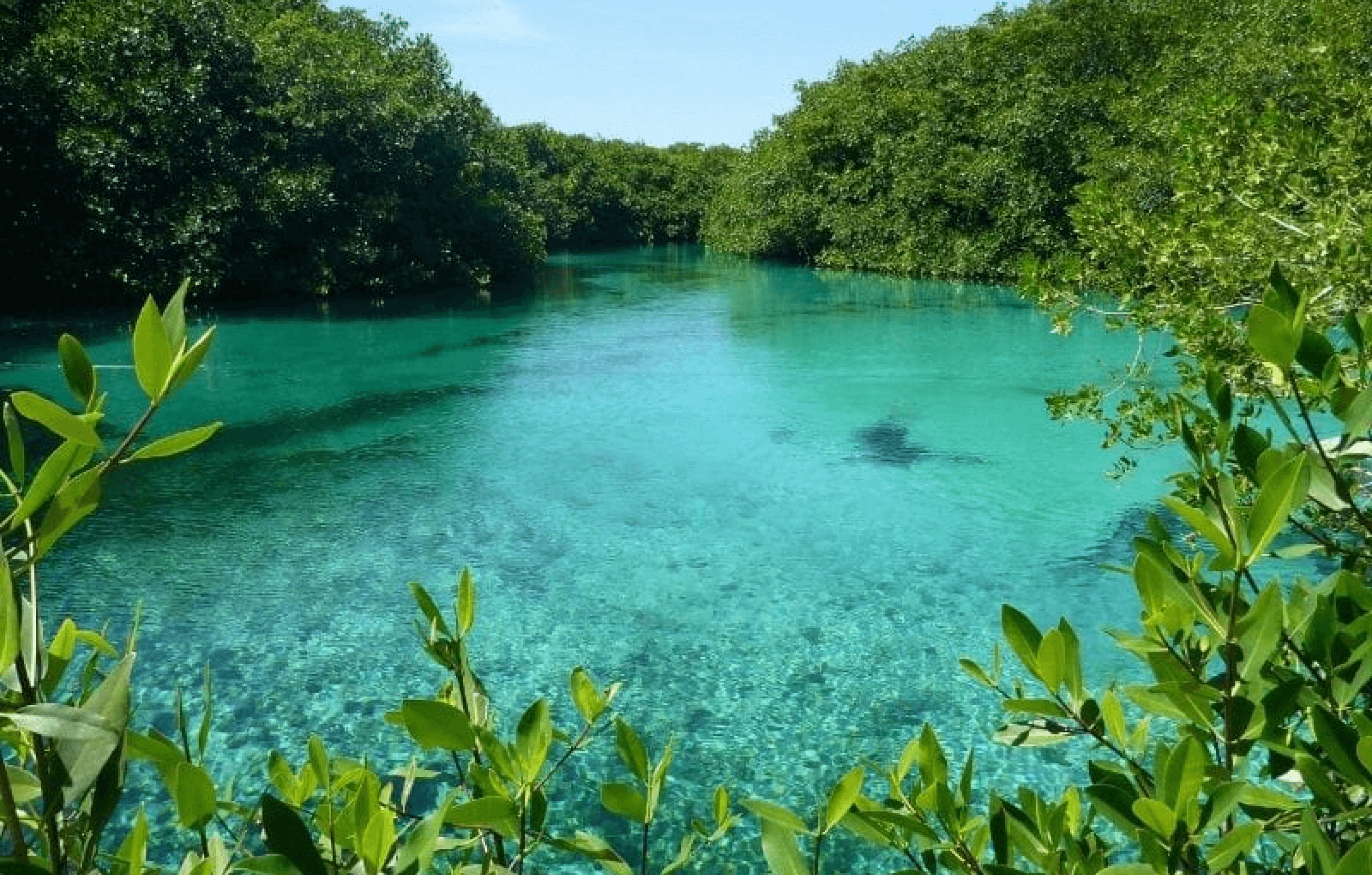 Ruinas Tulum